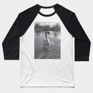 Swan photo black and white Baseball T-Shirt